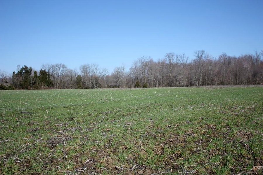 REAL ESTATE AUCTION - 366+/- ACRES OFFERED IN 5 TRACTS IN WESTERN JEFFERSON COUNTY, INDIANA